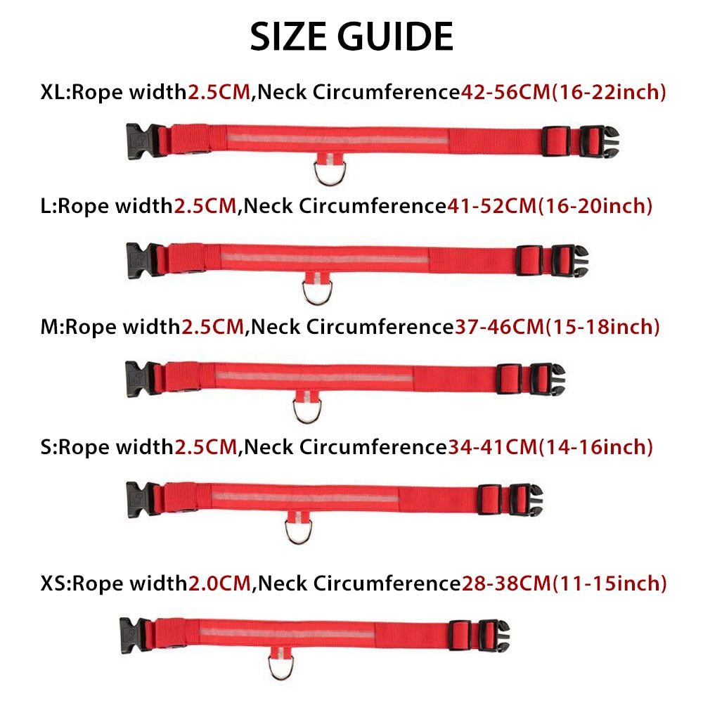 USB Charging Led Collar
