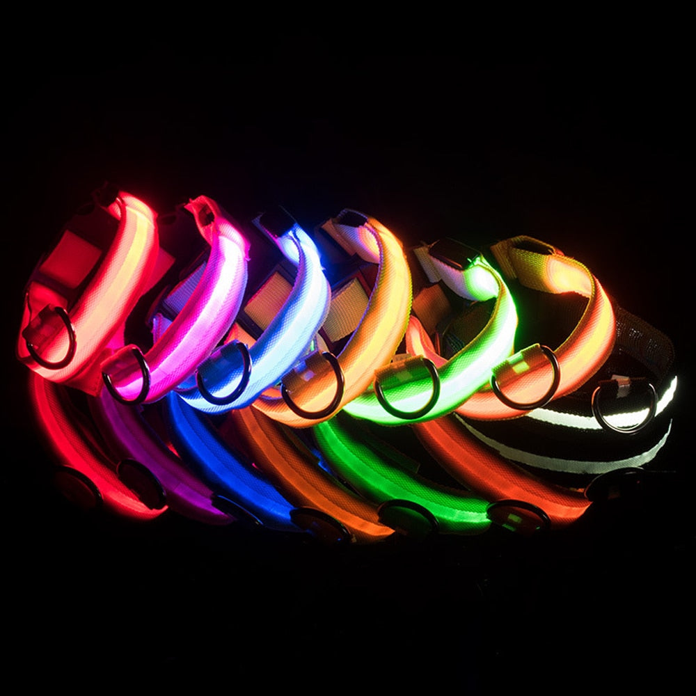 USB Charging Led Collar