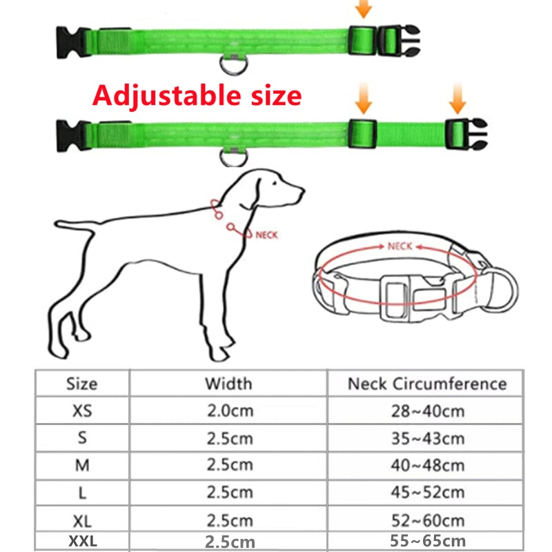 LED Glowing Dog Collar Adjustable Flashing Rechargea Luminous Collar