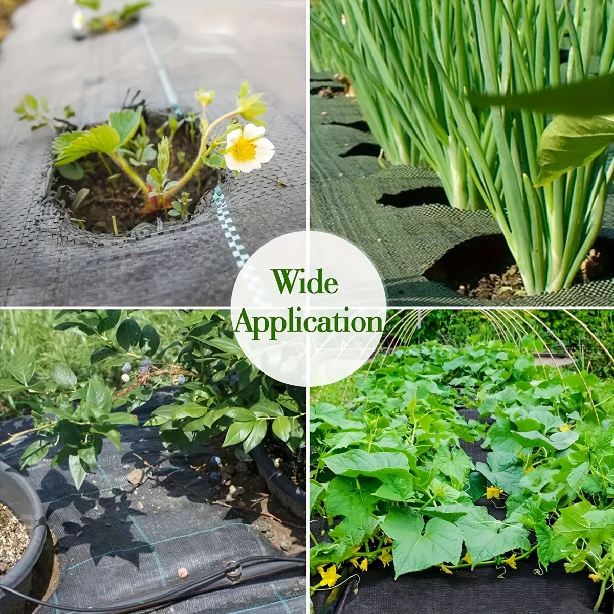 1pc Heavy-Duty Weed Barrier Fabric - 196.85inch x 39.37inch & 78.74inch x 39.37inch Black Woven Landscape Cloth, Suitable for Gardens, Flower Beds, Vegetable Patches, Driveways, and Farm Weeding Control