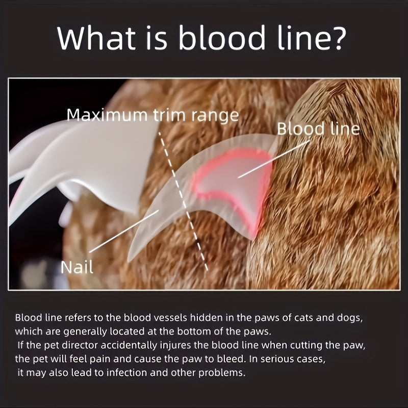 LED Lighted Pet Nail Clipper with 5x Magnification & Nail Catcher - USB-Powered, Ergonomic Design for Cats & Dogs, Safe & Precise Trimming, No Batteries Needed