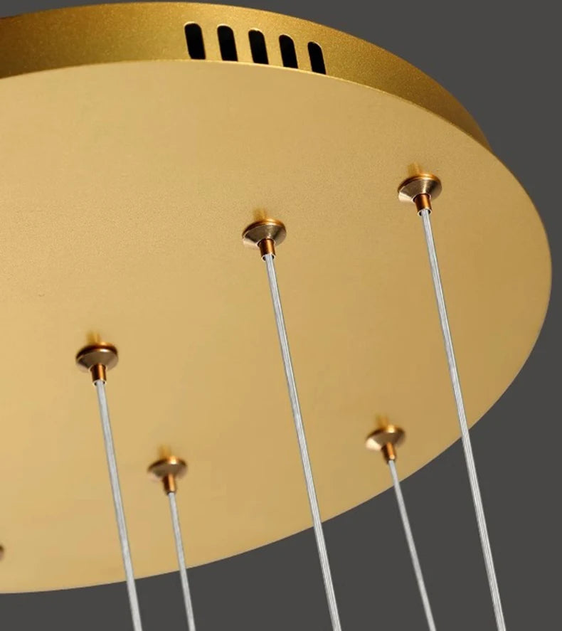 Modern home decor led lights pendant light lamps for living room Chandeliers for dining room hanging light indoor lighting