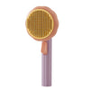 Massage Comb Self Cleaning Slicker Brush