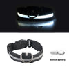 USB Charging Led Collar