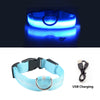 USB Charging Led Collar