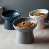 Ceramic Food Water Bowl for Pet