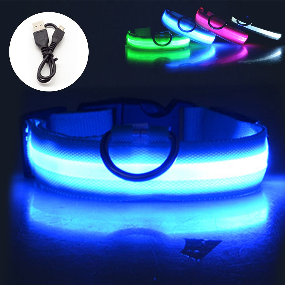 USB Charging Led Collar