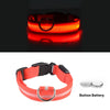 USB Charging Led Collar