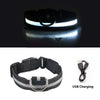 USB Charging Led Collar