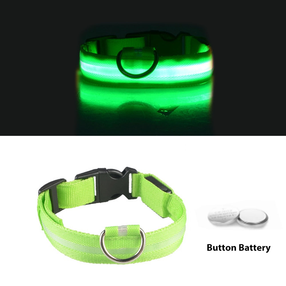 USB Charging Led Collar