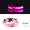 USB Charging Led Collar