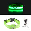 USB Charging Led Collar